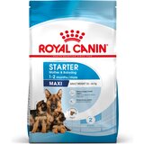 Royal_Canin Maxi Starter Mother & Babydog - 4 kg | shoptok.hr