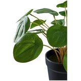 House Nordic Umjetna biljka (visina 28 cm) Pelia – | shoptok.hr