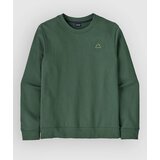 Patagonia Fitz Roy Massif Daily Crew Pulover canopy green | Shoptok.si