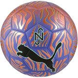 Nogometna Lopta Puma Neymar Graphic Plava Veličina 5 | shoptok.hr