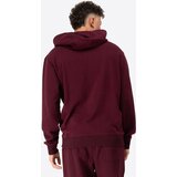 Benlee Men's hooded sweatshirt regular fit | Shoptok.si