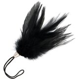 Darkness Black Feather Cene