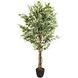 MID.YOU Umetna Rastlina Ficus | Shoptok.si