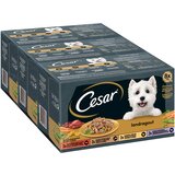 Cesar Country Kitchen Favourites miješano pakiranje - 8 x 150 g | shoptok.hr