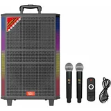 BLUETOOTH ZVUCNIK JQS917 120W 401X359X623 BT MIC X2 SING-E