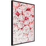  Poster - Purity 30x45 Cijene