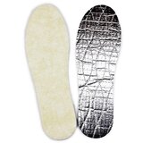 Coccine  | ePonuda.com