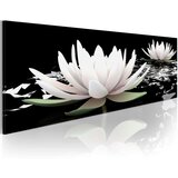  Slika - Lily cruise 150x50 Cijene