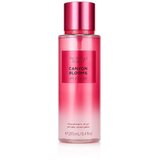 Victoria's Secret Canyon Blooms bodyspray 250 ml za žene | shoptok.hr
