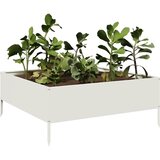  Povišena vrtna gredica bijeli 100x100x25 cm od čelika | shoptok.hr