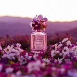 Marc Jacobs Daisy Eau So Fresh Paradise toaletna voda 75 ml za ženske | Shoptok.si