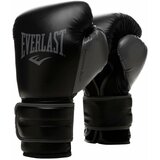 Everlast powerlock training gloves cene
