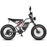Fafrees Gorsko električno kolo F20 Ultra, 20" × 5.0 terenske pnevmatike, 48V 25Ah baterija, Moto Style, siva, (5000009092) Cene