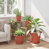  Saksije za biljke 6 pcs Crvena cigla Ø 30 x 25 cm Plastika | shoptok.hr