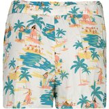 Roxy Women's shorts THE SOUTH SIDE | Eponuda.ba