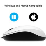 Genius DX-110 USB optički miš 1000 dpi, beli | Eponuda.com