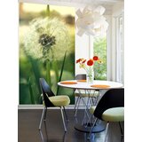  Fototapete + lepilo za tapete - CVEĆE FTKV051V137 (Popust) | Shoptok.si