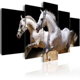  Slika - Gallop- freedom and power 100x50 | shoptok.hr