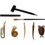  Ancient Creatures Excavation Set Ammonite Surprise | shoptok.hr