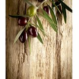 Conceptum Hypnose 4051A - multicolor multicolor hall carpet (80 x 150) | ePonuda.com