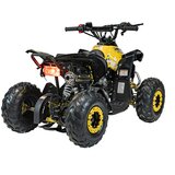 Ramiz Otroški štirikolesnik RENEGADE HIPERFECT 110CC rumena | Shoptok.si