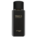 Parfem Vigour parfumirana voda unisex 100 ml | Shoptok.si