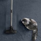  Usisavač Rowenta RO7C66EA | shoptok.hr