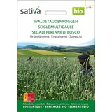BIO zeleno gnojilo “Divja rž” Cene