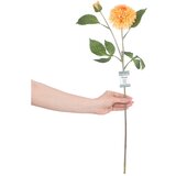 AmeliaHome Umetne rastline v kompletu 10 ks (višina 62 cm) Dahlia – | Shoptok.si