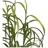 House Nordic Umetna rastlina (višina 89 cm) Grass – | Shoptok.si