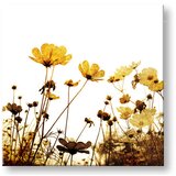  Slike na platnu cveće (moderne slike na platnu) | ePonuda.com