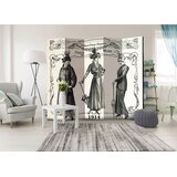 Artgeist PARAVAN 225/172/3 cm svetlo siva, temno siva | Shoptok.si