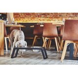 MiaCara Metalni set posuda s postoljem za pse Desco Grolive L – | shoptok.hr