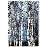  Slika - Frosty January (1 Part) Vertical 80x120 Standard | shoptok.hr