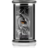 Kringle Candle Midnight Oud mirisna svijeća 623 g Cijene