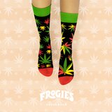 Frogies Čarape Regular | Eponuda.ba