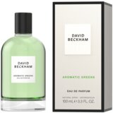 David Beckham Aromatic Greens parfumska voda 100 ml za moške | Shoptok.si