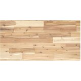 Stolna Mizna plošča 100x40x2 cm pravokotna trden akacijev les, (21410642) | Shoptok.si