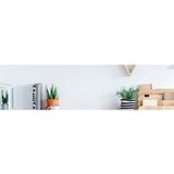 AOC monitor 24B2XHM2 | Shoptok.si