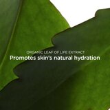 Clarins Fresh Scrub Refreshing Cream Scrub kremasti piling za njegu kože i održavanje njezine prirodne hidratacije 50 ml | shoptok.hr