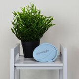 Shnuggle Meka silikonska četka za kupanje - Blue | shoptok.hr