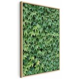  Slika - Thick Ivy (1 Part) Vertical 80x120 | shoptok.hr