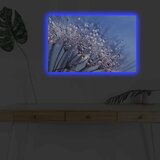 Wallity Slika sa LED osvetljenjem 4570DHDACT-072, 45x70 cm | ePonuda.com