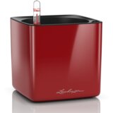 LECHUZA Okrasni lonec Cube Glossy 14 - Scarlet rdeča visoki sijaj Cene