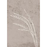 Venture Home poster Seeds 70 × 100 cm, bež | shoptok.hr