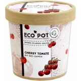 Feel Green ecopot "Češnjev paradižnik" Cene