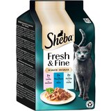  Ekonomično pakiranje Sheba Fresh & Fine 72 x 50 g - Losos, tuna i pastrva u umaku | shoptok.hr