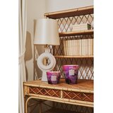 Baobab Collection Arty Flowers Water Lily dišeča sveča 1000 g | Shoptok.si