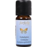 farfalla Evkaliptus globulus bio Cene