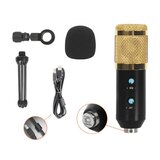 INF USB kondenzatorski mikrofon z nadzorom glasnosti in odmeva za snemanje na PC, (5000289879) | Shoptok.si